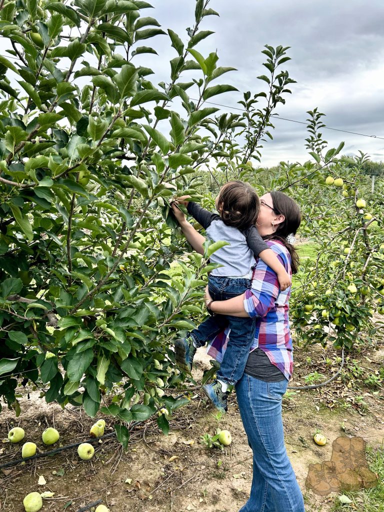 A mother holds her young child while they pick apples from a tree in an orchard. The sky is overcast, and there are green apples scattered on the ground.